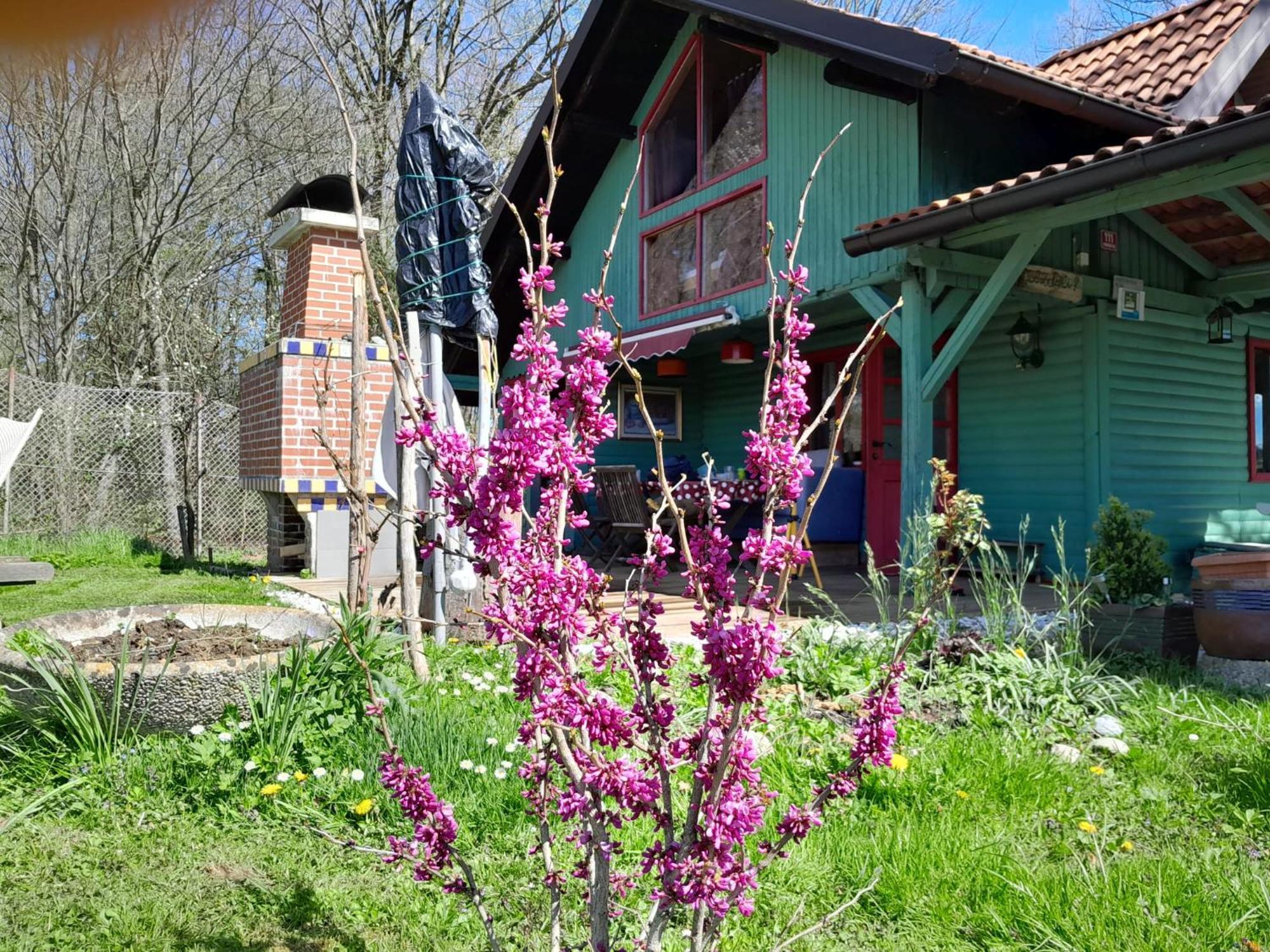 فندق Tree House Ramona & Fairytale Wooden House By Ljubljana غروسوبلي المظهر الخارجي الصورة